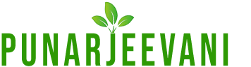 PUNARJEEVANI